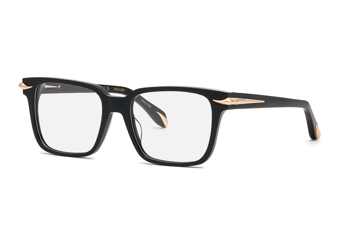 Roberto Cavalli RC019M 0700