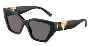 Tiffany & Co. TF4218 800181 POLARIZED