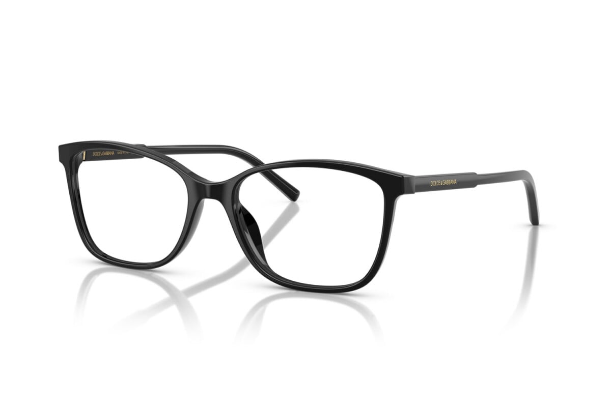 Dolce & Gabbana DG3424 501
