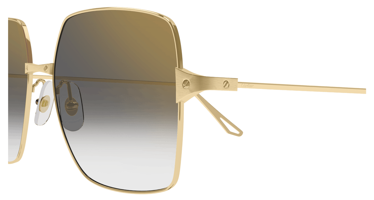 CARTIER CT0297S 001