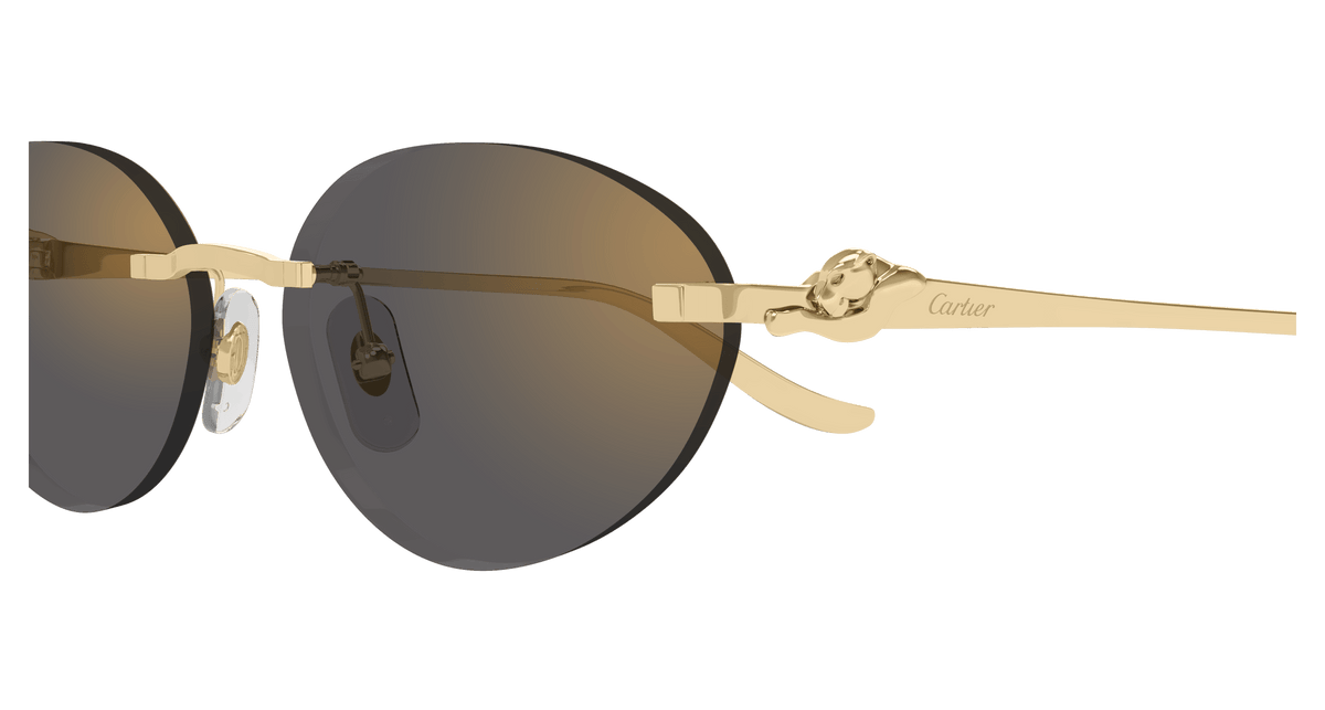 CARTIER CT0504S 001