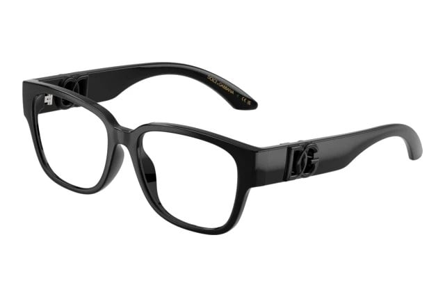 DOLCE & GABBANA DX 5006 501