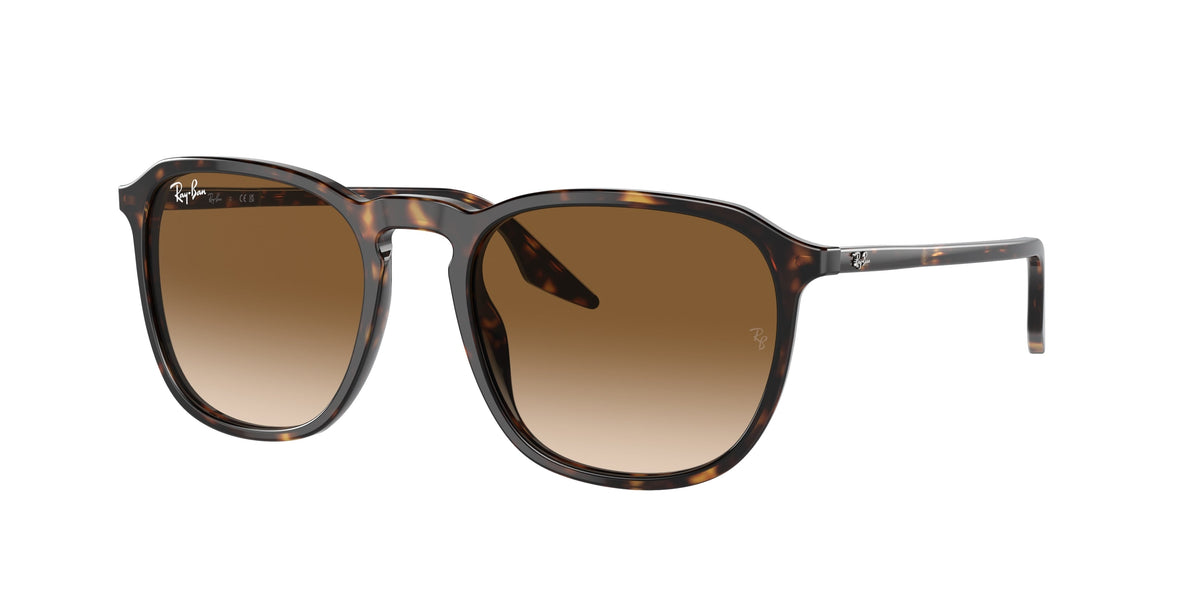 Ray-Ban RB2203 902/51