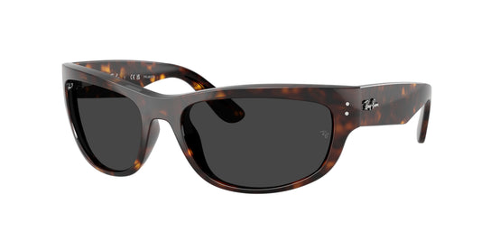 Ray-Ban RB2289 MEGA BALORAMA 902/48 POLARIZED