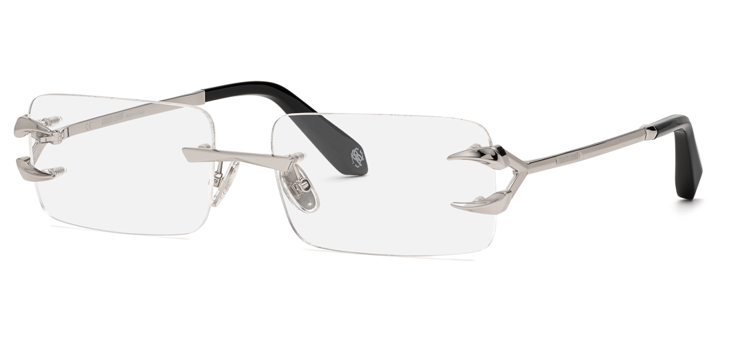 Roberto Cavalli RC023 0579
