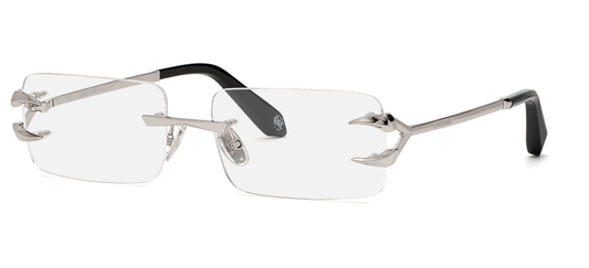 Roberto Cavalli RC023 0579