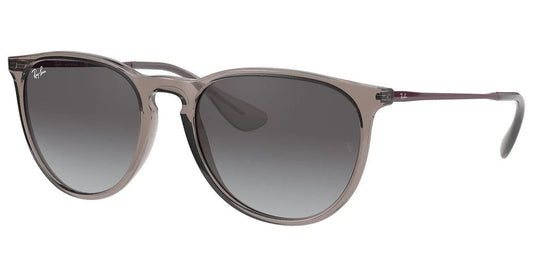 Ray-Ban RB4171 ERIKA 65138G