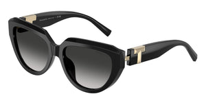 Tiffany & Co. TF4238U 80013C