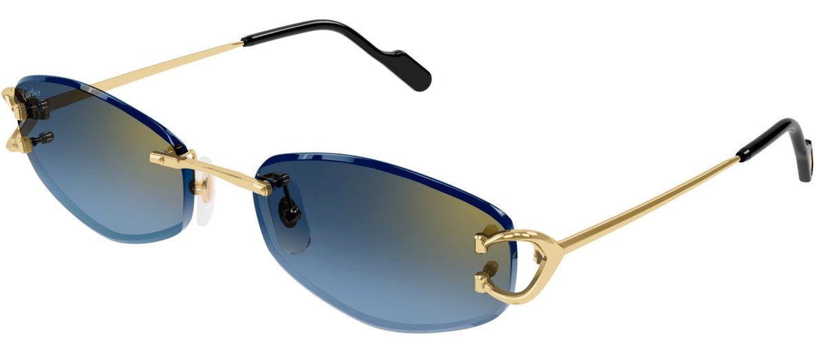 CARTIER CT0467S 002
