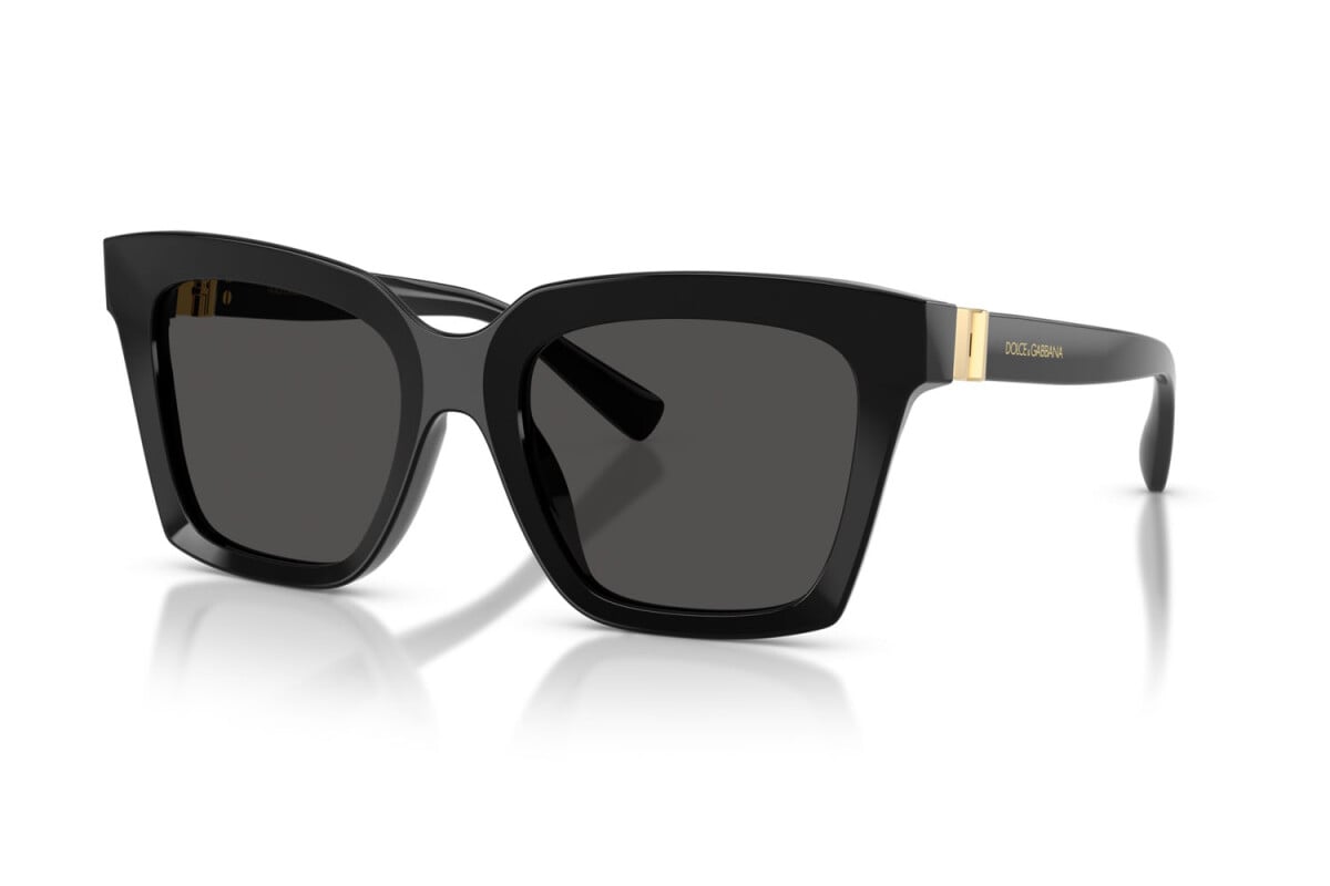 Dolce & Gabbana DG4498 501/87