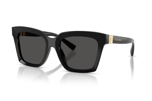 Dolce & Gabbana DG4498 501/87