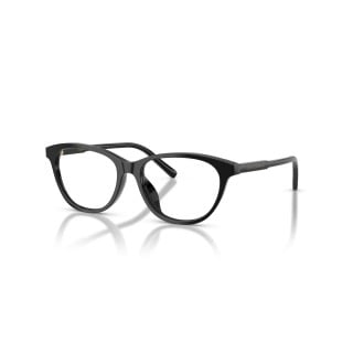 DOLCE & GABBANA DX 3002 501