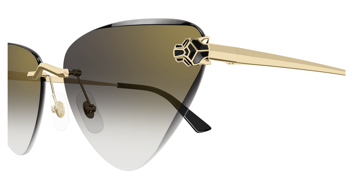 CARTIER CT0399S 001