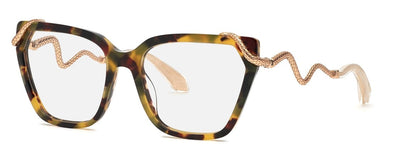 Roberto Cavalli RC020M AGGY