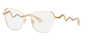 Roberto Cavalli RC021M 0492