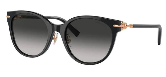 Tiffany & Co. TF4223D 80013C