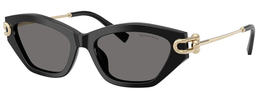 Tiffany & Co. TF4231U 800181 POLARIZED