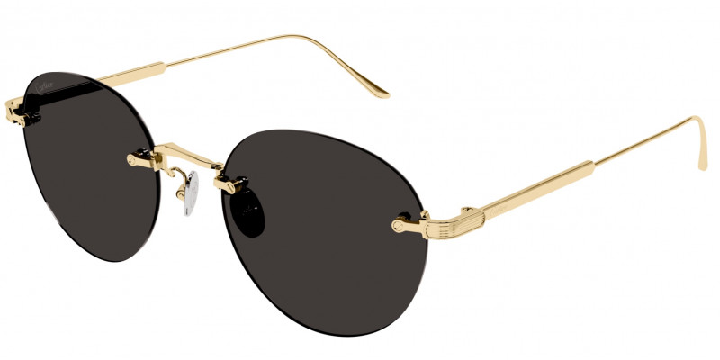 Cartier CT0393S 002