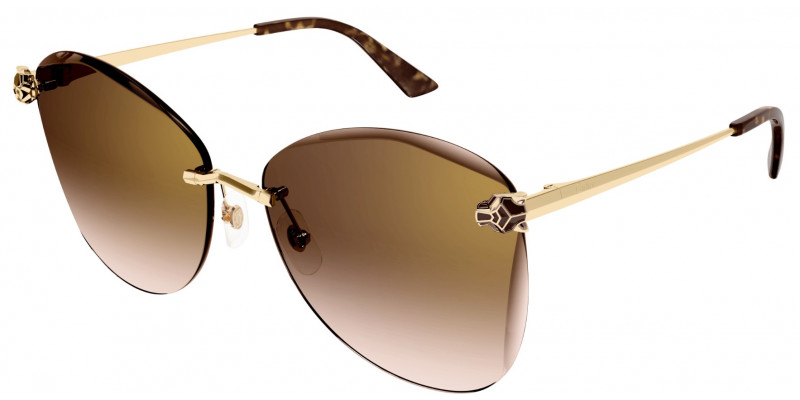 Cartier CT0398S 002