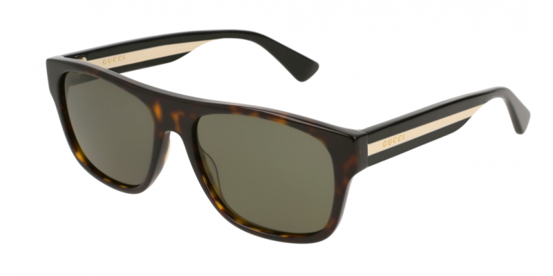 Gucci GG0341S 003