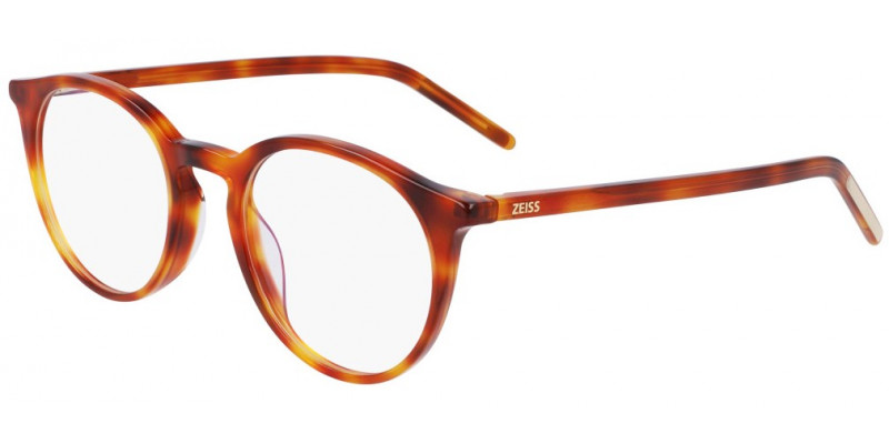 Zeiss ZS22501 243